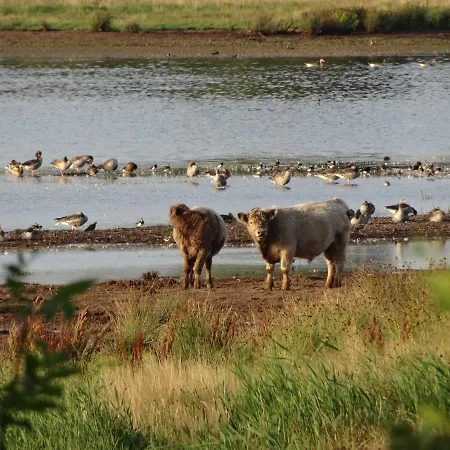 Urlaub Am Tatil Evi *