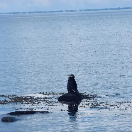 Urlaub Am Tatil Evi *