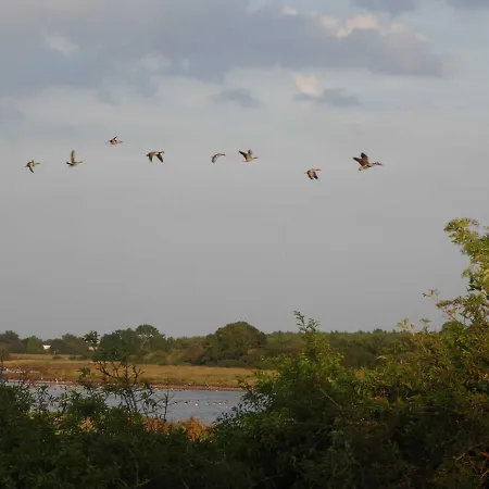 Tatil Evi Urlaub Am Maasholm-Bad